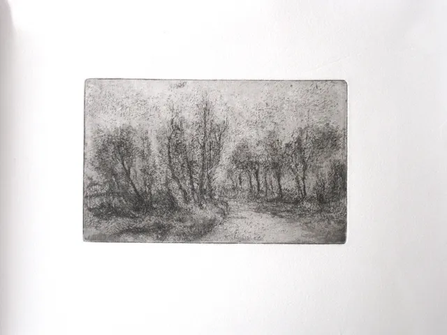 Strada di campagna — Stampe