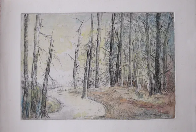 Strada nel bosco — Tecniche varie